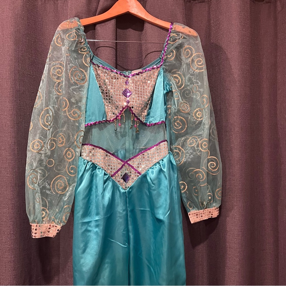 Princess Jasmine Adult S Disney Costume